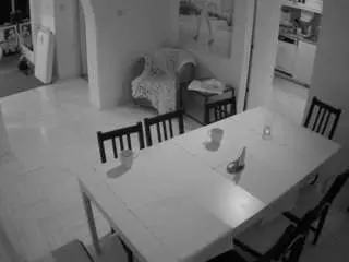 Camsoda Sex Cam of voyeurcam-julmodels-dining