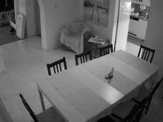 Camsoda Adult Webcam of voyeurcam-julmodels-dining