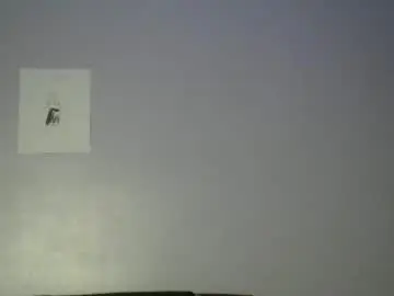 Chaturbate Private Sex Chat of bigxcountry_39