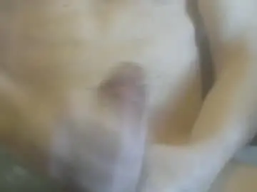 Chaturbate Watch Live Sex Cams of cutemuscledanaconda