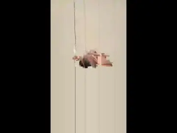 Chaturbate Adult Video Chat of panompornsaenbua32