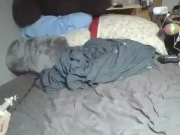 Chaturbate Live Sex Cam of lildman420