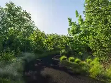 Chaturbate Free Porn Cam of makingmoans