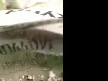 Chaturbate Live Sex of airbornx2n1
