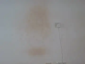 Chaturbate Best live sex cam show of flasher_bigboobs