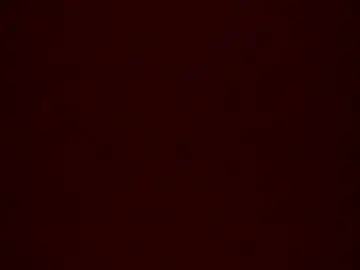 Chaturbate Private Sex Chat of bonershow