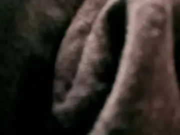 Chaturbate Live Porn of josepty507