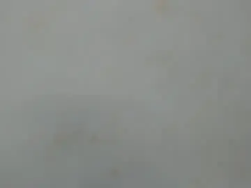 Chaturbate Adult Webcam of amaia_baez
