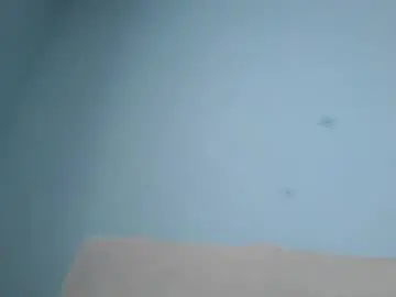 Chaturbate Live Porn of hank0009