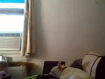 Chaturbate Live Porn of hellboy29ts