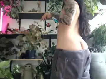 Chaturbate Live Sex Cam of cat_salo