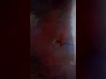Chaturbate Sex Cam of rojasfranklin2724