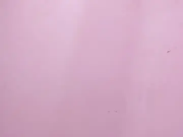 Chaturbate Best live sex cam show of mia_tailor_bms