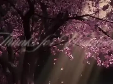 Chaturbate Private Sex Chat of edenarcadia