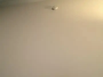 Chaturbate Live Porn of yacout87