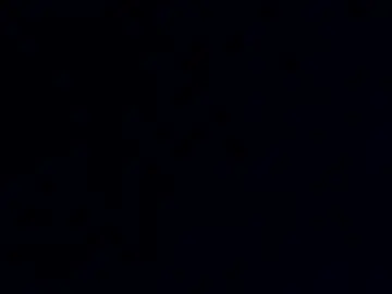 Chaturbate Free Porn Cam of phil55q