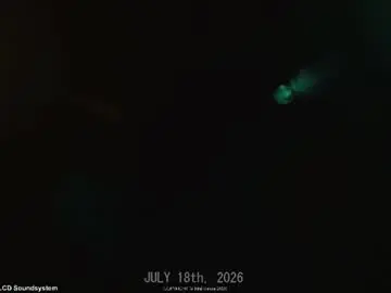 Chaturbate Live Sex of intellitease