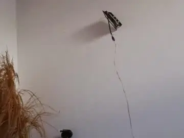 Chaturbate Sex Chat of jade_will