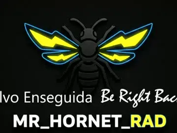 Chaturbate Sex Cam of mr_hornet_rad
