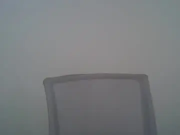 Chaturbate Sex Cam of ditamilton