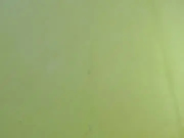 Chaturbate Live Sex of _lilies_gigi_