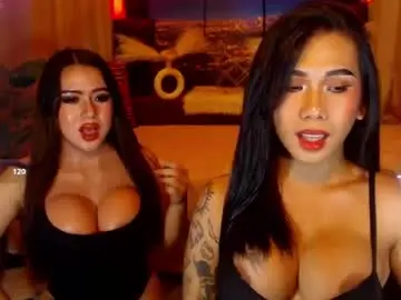 Chaturbate Watch Live Sex Cams of transpornidol