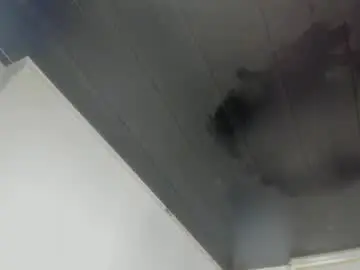Chaturbate Adult Webcam of lola_js