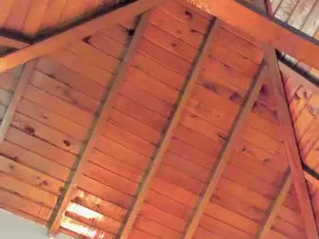 Chaturbate Free Live Porn of tony_petrov