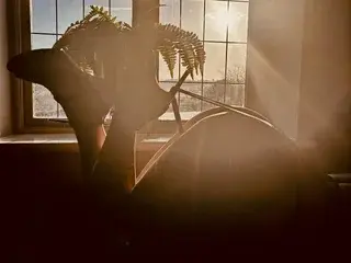 Streamate Sex Cam of KatieCarterX