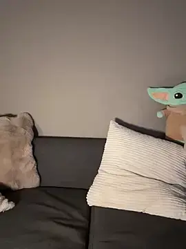 Stripchat Live Porn of Luna_licous