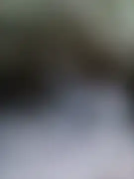 Stripchat Adult Webcam of Crossdres