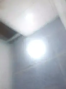 Stripchat Best live sex cam show of Alcon347