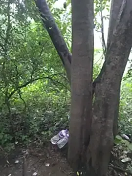 Stripchat Live Sex of Kaalkoot