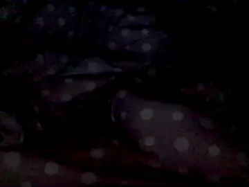 Stripchat Live Sex of mariy_