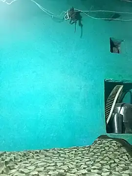 Stripchat Nude Webcam of Babli_sharma