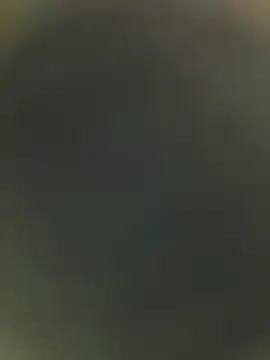 Stripchat Live Porn of piggylatino