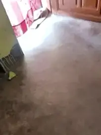 Stripchat Free Porn Cam of Lakhsmi
