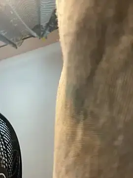 Stripchat Adult Webcam of JuicyJamaican