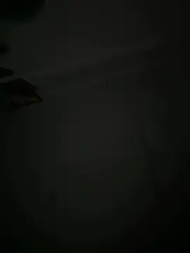 Stripchat Best Webcam of 9Dragon9