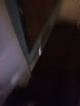 Stripchat Live Porn of IlBos9769