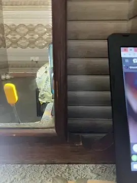 Stripchat Adult Webcam of Muslimali