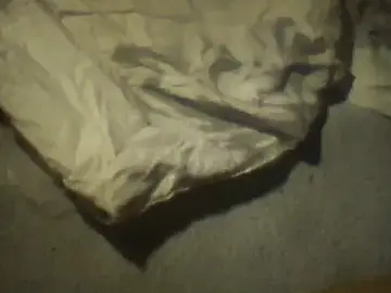 Stripchat Free Live Porn of pietje1991