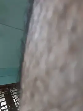 Stripchat Private Sex Chat of Hairy_hunk32