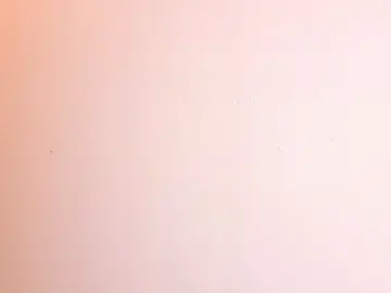 Stripchat Live Sex Cam of melody-rouss