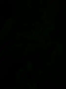 Stripchat Private Sex Chat of Big_dick_dog