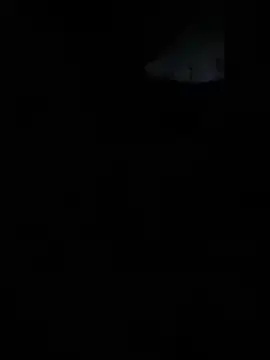 Stripchat Live Sex Cam of Knuffelbeertje20