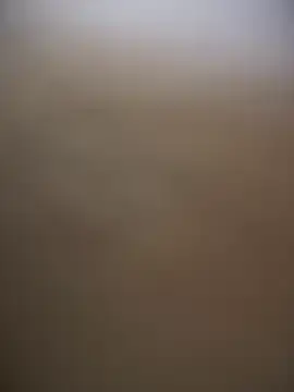 Stripchat Best live sex cam show of sammyqueenx21