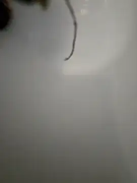 Stripchat Best Webcam of Martpi@xh