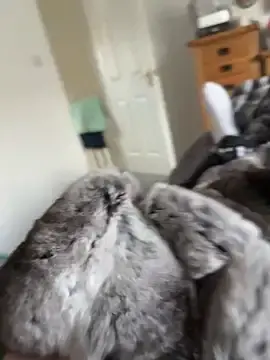 Stripchat Live Sex Cam of Furdale