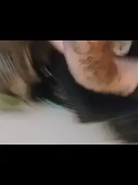 Stripchat Live Sex Cam of jarjar83